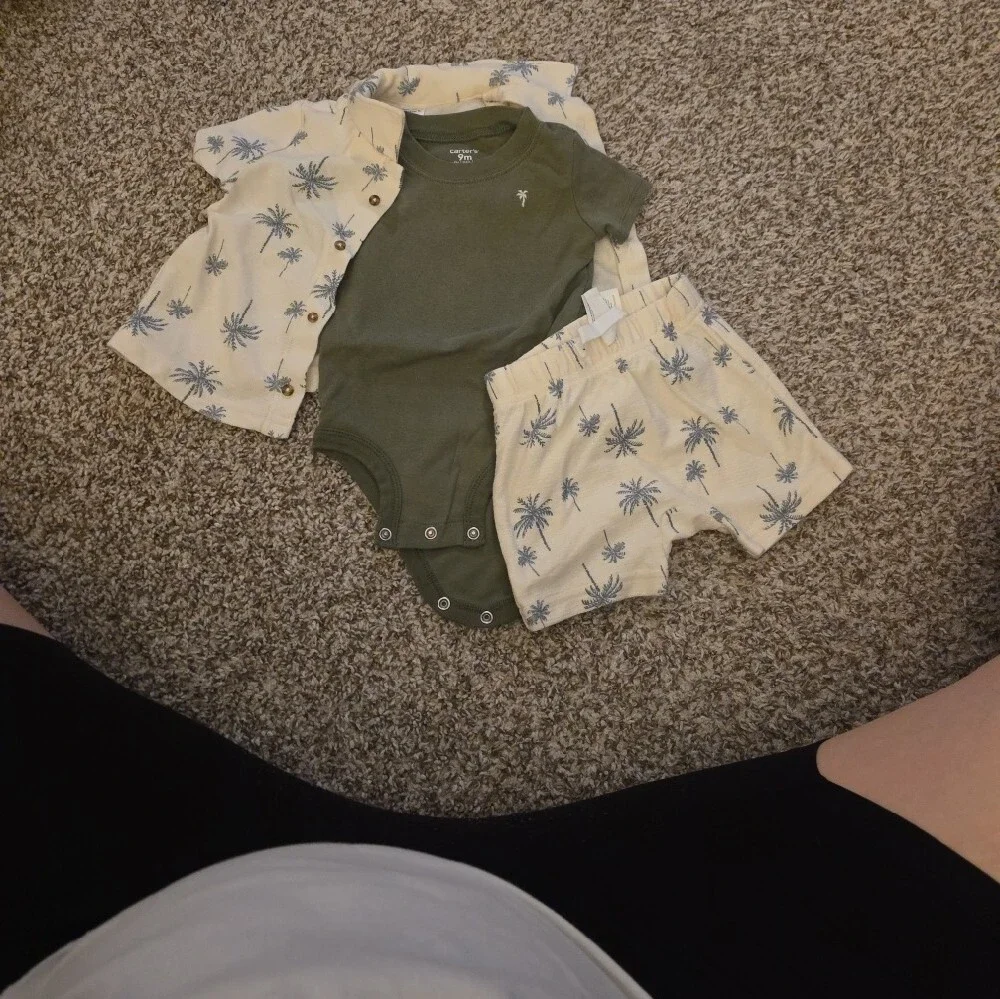 Baby Clothing Lot - Carter's 9months